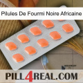 African Black Ant Pills 26